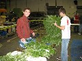 Wreath Assembly