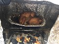 2017 Turkey Campout 11/17/2017 - 11/19/2017